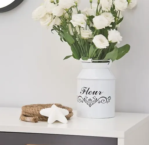 Navy Group - Port * 소포트